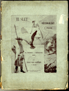 III. slet všesokolský pořádaný Českou obcí sokolskou ve dnech 29. června - 1. července 1895
