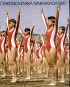 Československá spartakiáda 1985