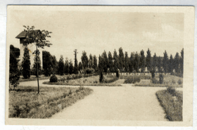 Neratovice - Gottwaldovo náměstí - sady (pohled)