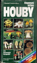 Houby