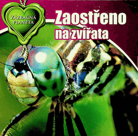 DVD - Zaostřeno na zvířata