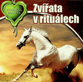 DVD - Zázračná planeta - Zvířata v rituálech