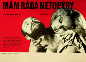 Filmový plakát - Mám ráda netopýry
