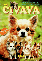Čivava