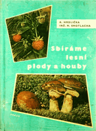 Sbíráme lesní plody a houby