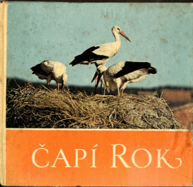 Čapí rok