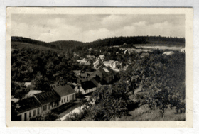 Olšany (pohled)