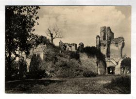 Hrad Košumberk (pohled)