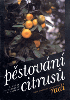 Pěstování citrusů