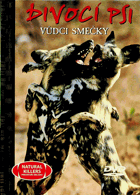 DVD - Divocí psi