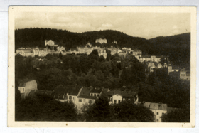Mariánské Lázně - částečný pohled (pohled)