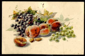 Zátiší s ovocem (pohled)