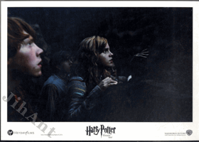 Fotoska - Harry Potter a Fenixův řád