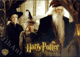 Fotoska - Harry Potter a tajemná komnata