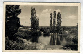 Trnová (pohled)