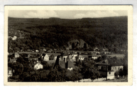 Černošice (pohled)