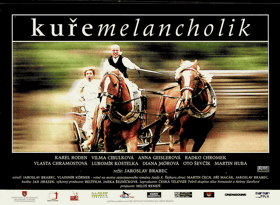 Fotoska - Kuře melancholik