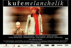 Fotoska - Kuře melancholik