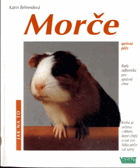 Morče