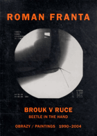 Brouk v ruce