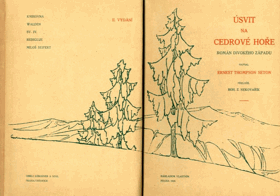 Úsvit na Cedrové Hoře - Román divokého západu