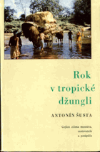 Rok v tropické džungli